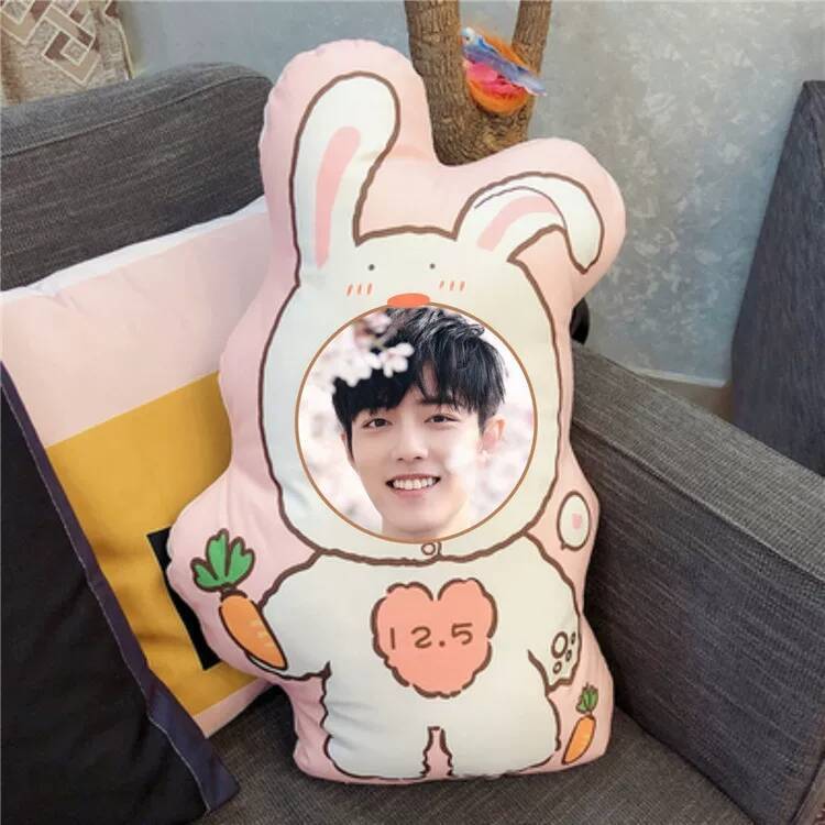 Xiao Zhan Custom Photo DIY Plu - Diy Q incelemesi ve fiyatı