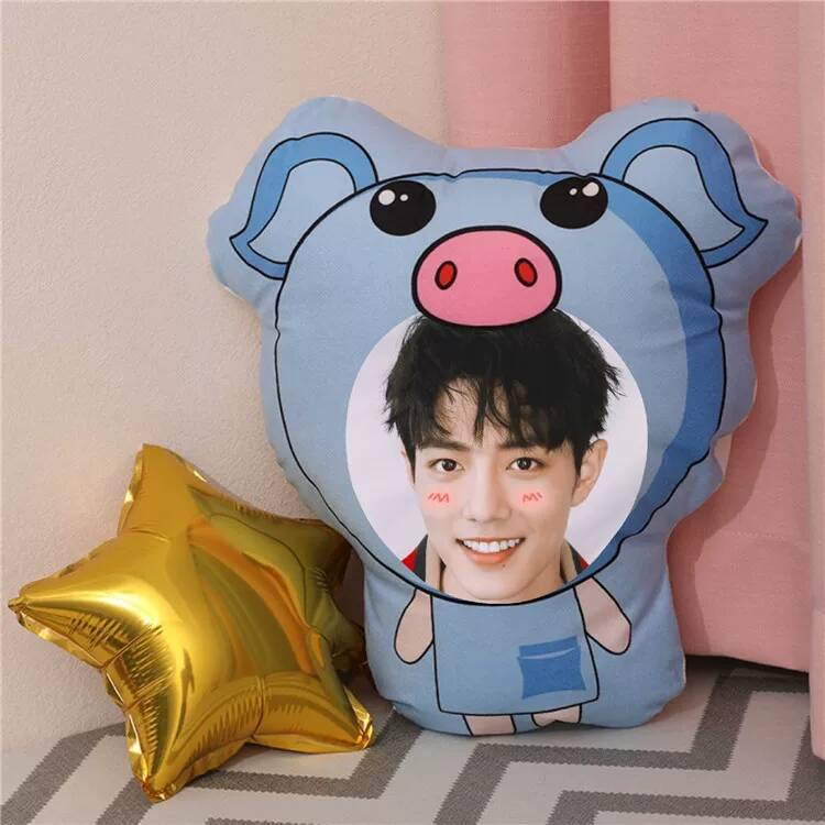 Xiao Zhan Custom Photo DIY Plu - Diy Q incelemesi ve fiyatı